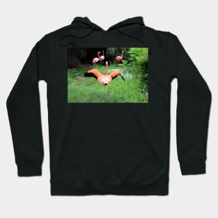 Wait For Me Hoodie